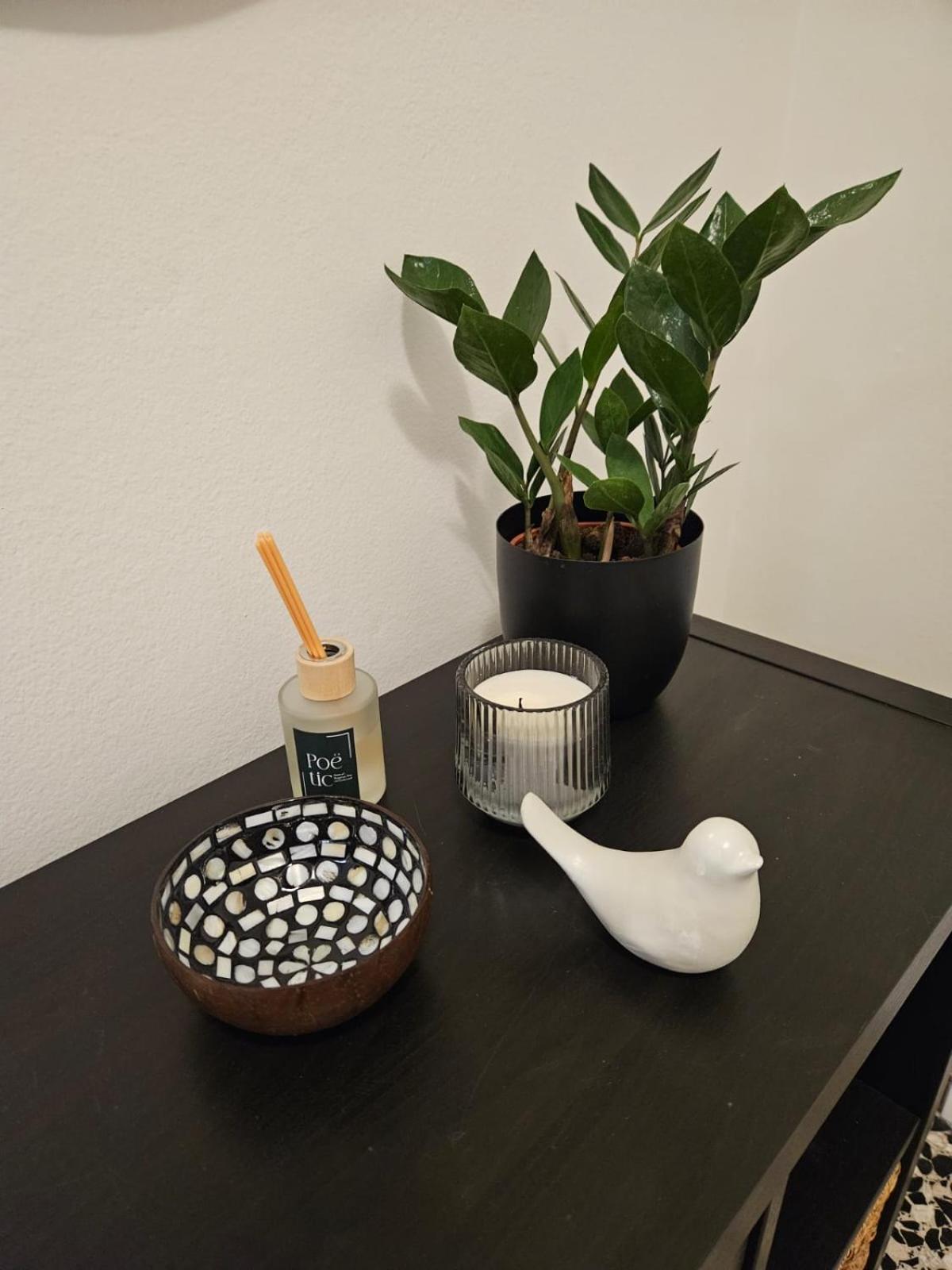 La Mansarda Appartement